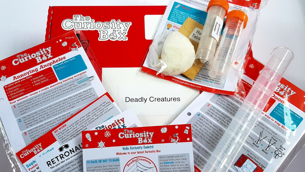 contents of curiosity box